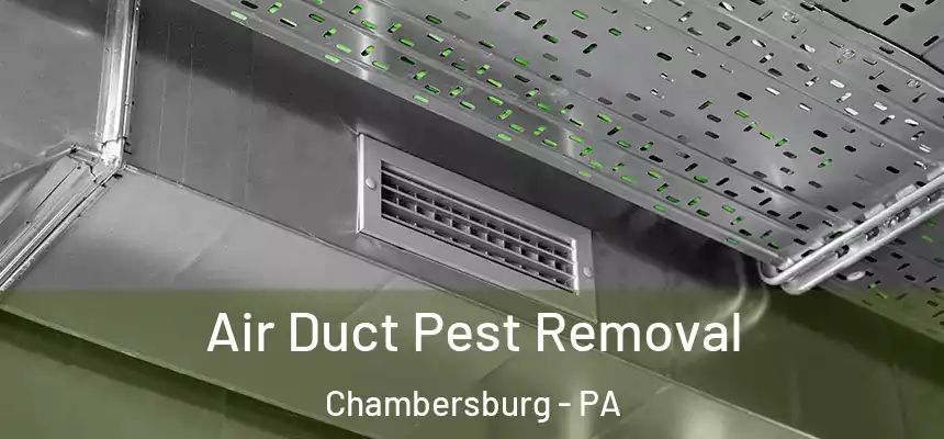 Air Duct Pest Removal Chambersburg - PA