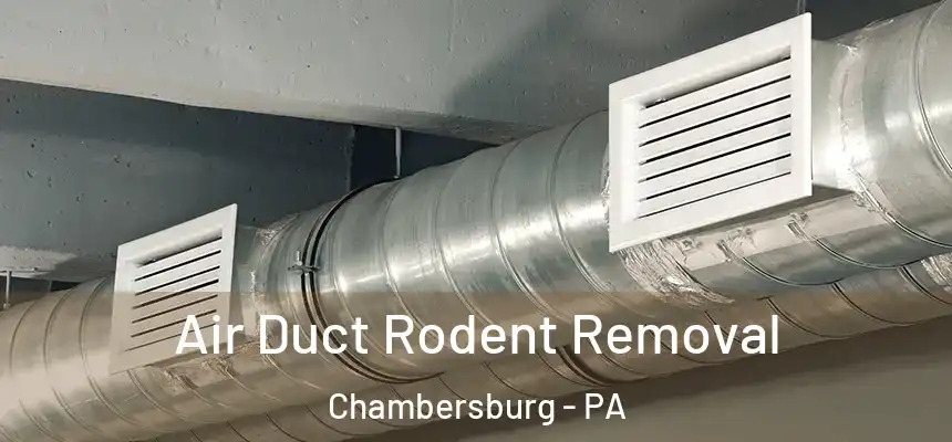 Air Duct Rodent Removal Chambersburg - PA