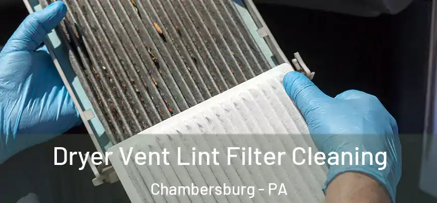  Dryer Vent Lint Filter Cleaning Chambersburg - PA