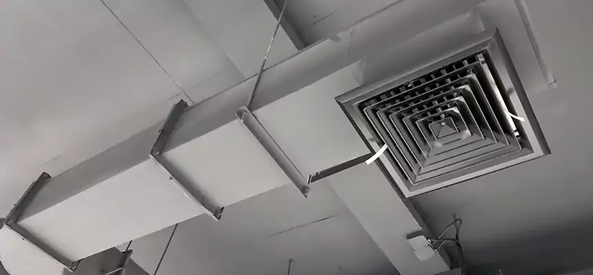 Our Pest Removal From Ducts Services in Chambersburg, PA