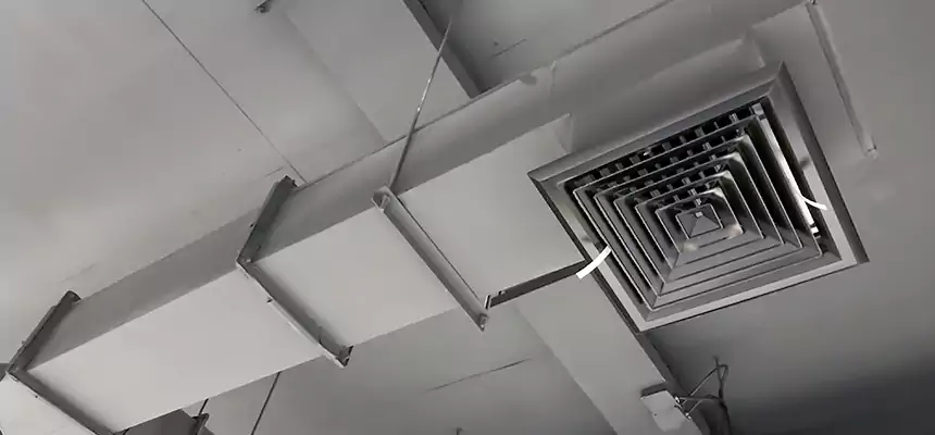 Our Rodent Droppings In Vents Services in Chambersburg, PA