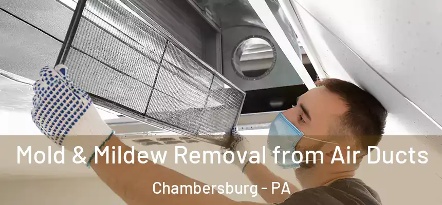 Mold & Mildew Removal from Air Ducts Chambersburg - PA