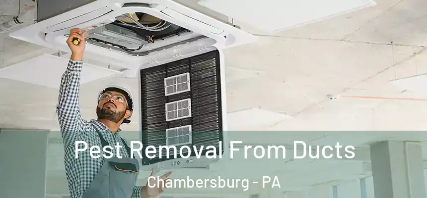  Pest Removal From Ducts Chambersburg - PA