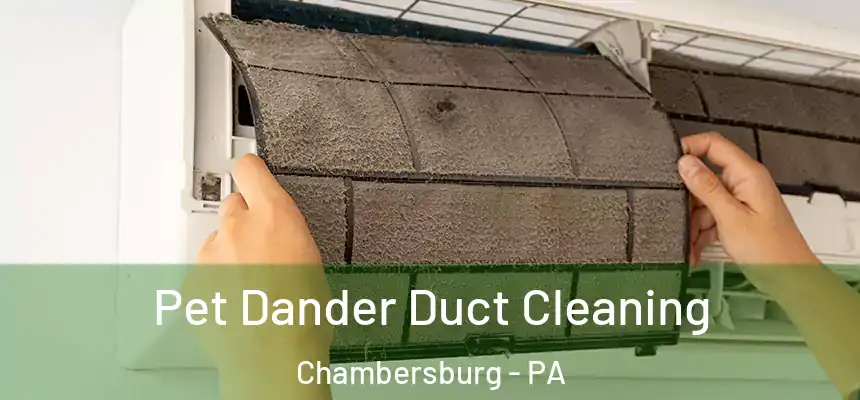  Pet Dander Duct Cleaning Chambersburg - PA