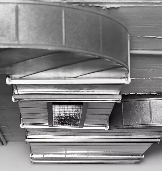 Professional Air Duct Pest Removal in Chambersburg, PA