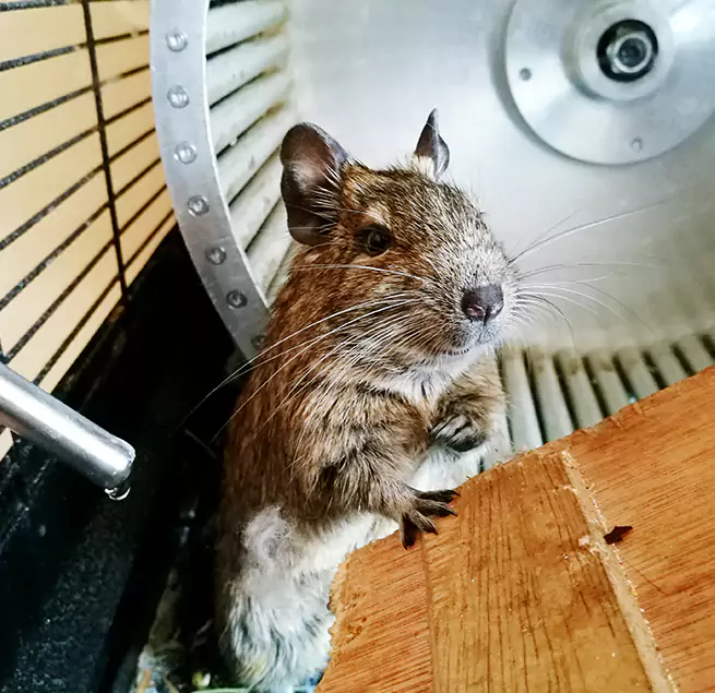 Why Homeowners & Businesses Trust Us Chambersburg, PA